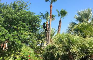 Seaside villa in Jávea with private pool - Foto 20