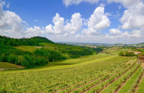 Nice Apartment In Santo Stefano Belbo - Photo 31