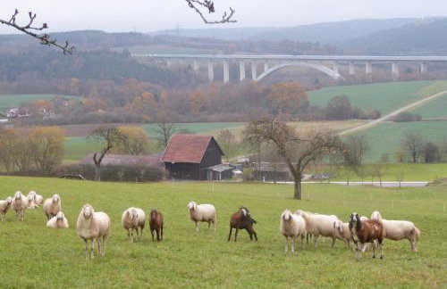 Müller's Ferienwohnungen - Foto 27