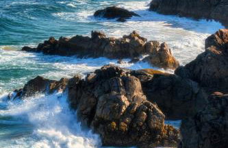 Les hortensias de papy - Foto 34