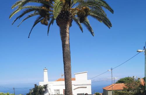 Pino Redondo - Foto 29