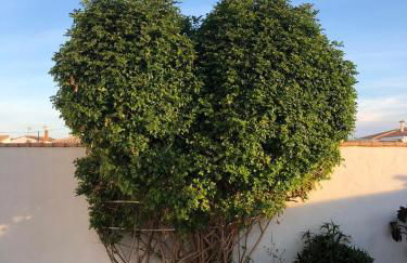 Chalet Duna - Foto 21