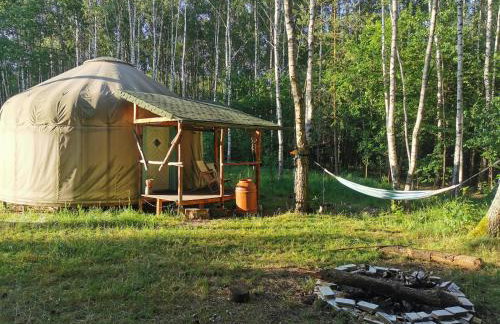 Biały Las Jurta - Foto 2