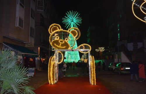 Viva Vigo con vistas a la ría - Foto 52