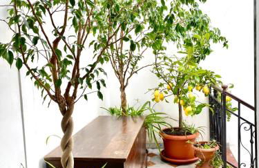 Palazzo 700 - Foto 47