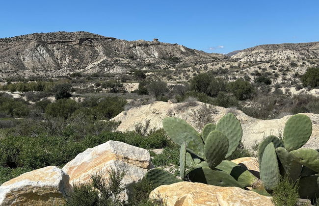 El sueño de Andalucia - Foto 72