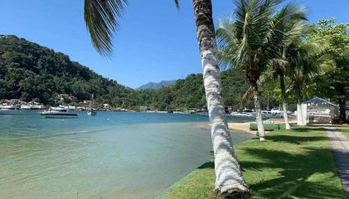 Apartamento - Foto 2