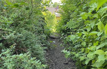 Natur Ferienpark 4 - Foto 18