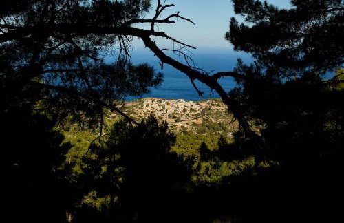 Avgonyma Square Nest - Foto 7