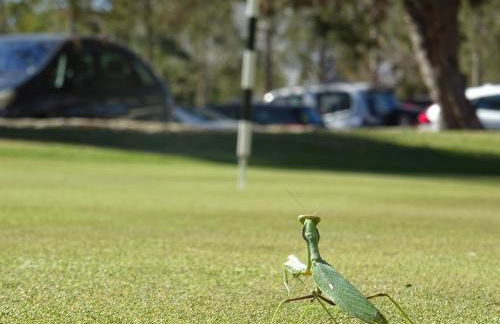 Villa Sol y Sal - Foto 56