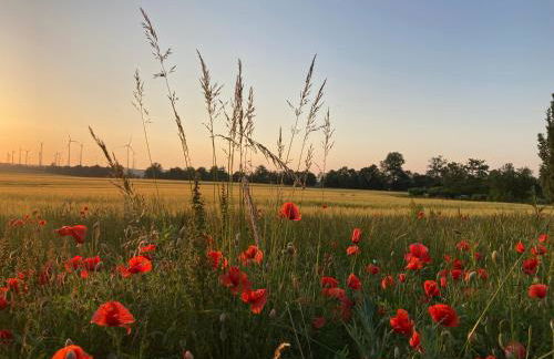 Ferienwohnungen in der alten Schnitterkaserne - Foto 6