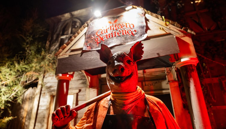 ¡Pasaje terror!