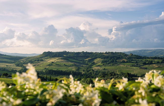 Altarocca Wine Resort - Photo 21