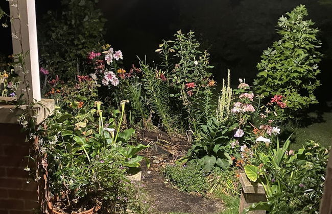 River Front Estate - Foto 9