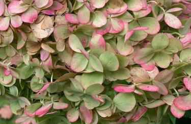 Mitten im Ruhrgebiet immer Willkommen, wlan , Netflix, Parking Free, 100m2 flat - Foto 17