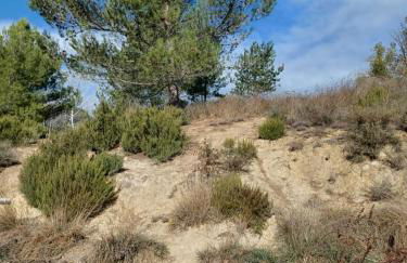 Maison Sol Air - Foto 14