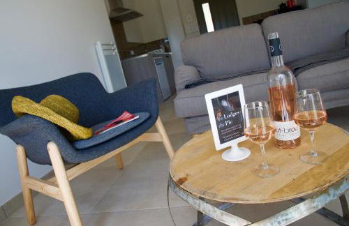 Les Lodges du Pic - Foto 25