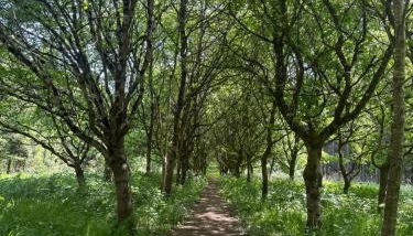 2 Guests Studio - Free Parking - Stunning Views - Foto 3