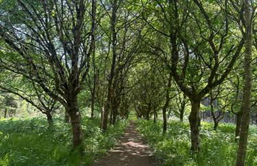 2 Guests Studio - Free Parking - Stunning Views - Foto 3