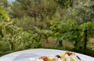 Quinta Abelha - Foto 26