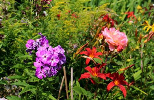 KA8 Beim Wattn Fischer - Foto 21