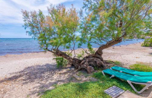 Cas Ferrerico - Foto 36