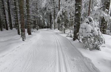 Ferienhaus Sonnengelb im Herzen des Schwarzwaldes - Foto 25