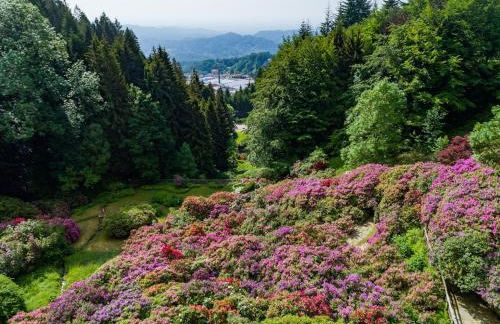 Al Castello di Valdengo - Foto 17