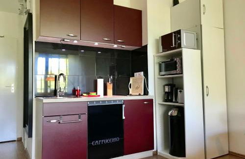 Appartement JZ - Foto 15