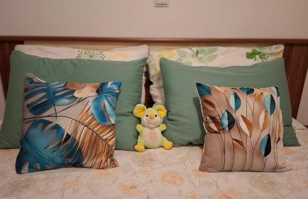 Villa Marin Smoljanci - Foto 70