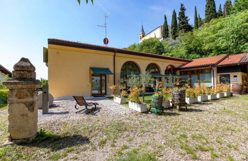 Portami in Collina - Foto 47