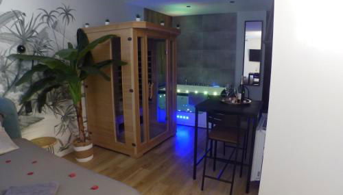 Appartement balnéothérapie et sauna hyper centre - Foto 4