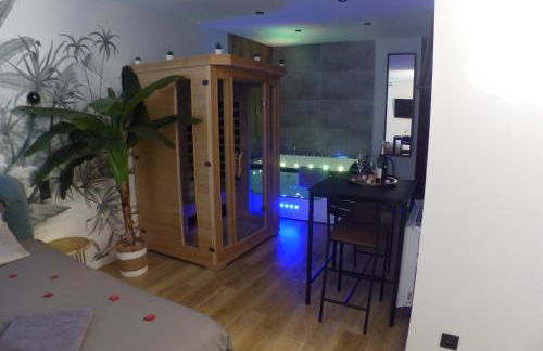 Appartement balnéothérapie et sauna hyper centre - Foto 4