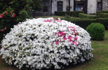 Residenza Christian - Foto 16