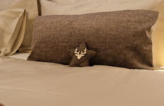 GARDEN SUITE appartment - Foto 27