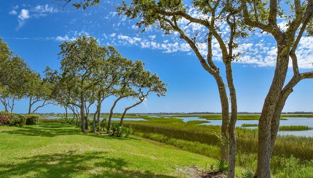 Canopy Shore - Foto 5, Außenbereich