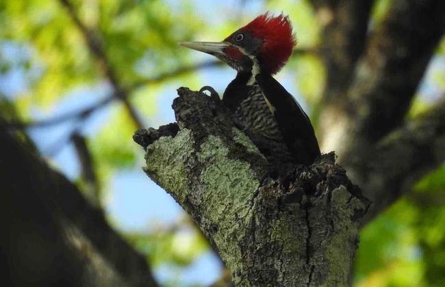 Pilgrim's Paradise Cabin 2 - Photo 23