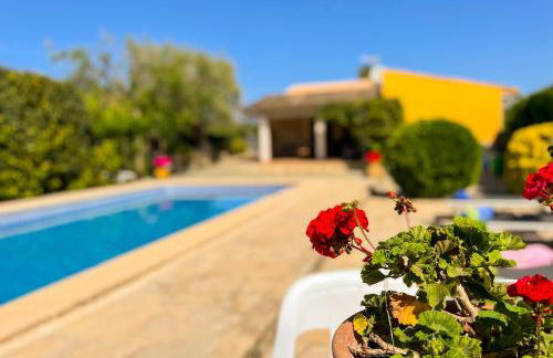 FINCA SA SINI - Foto 12