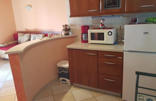 Diana Apartman - Photo 46