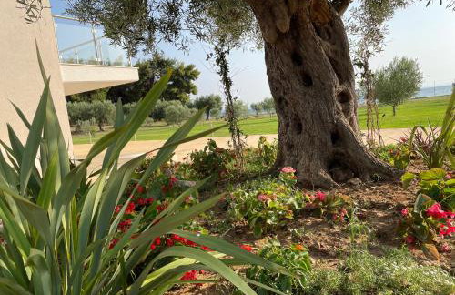 Kalivas beach house - Photo 6