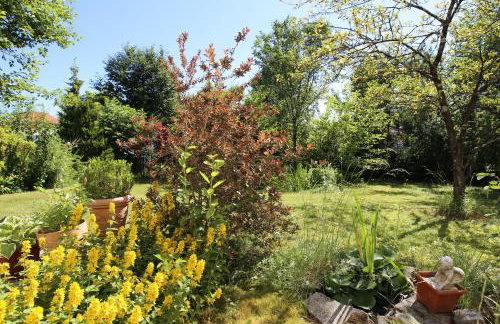 Villa Anton - Foto 23