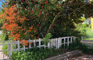 Villa Carlotta Bianca vacation home apartment with swimming Pool - Foto 35
