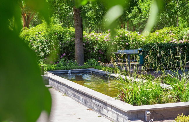 Lodge in Brabant With Cozy Covered Terrace - Photo 31