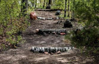 Pet-Friendly Lakeside Cabin Ideal for a Family Getaway in Wisconsin - Foto 41