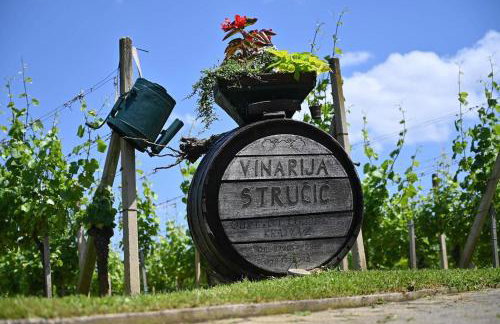 STRUČIĆ WINERY ESTATE - Foto 25