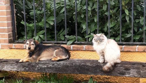 APPARTAMENTI DOLCETURISMO FONTECAIME...RELAX... - Foto 5