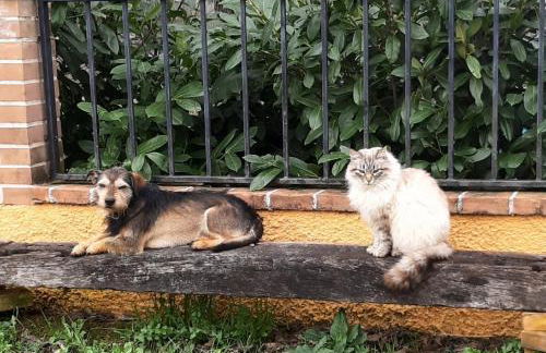 APPARTAMENTI DOLCETURISMO FONTECAIME...RELAX... - Foto 5