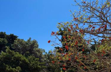 Casa Assisi - Foto 19