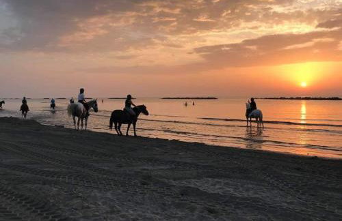 Montebianco 30 - Foto 14