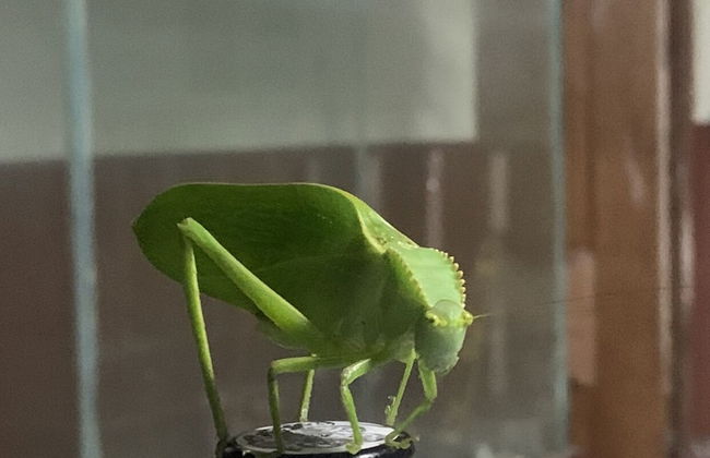 TIPS Vacation - Foto 57